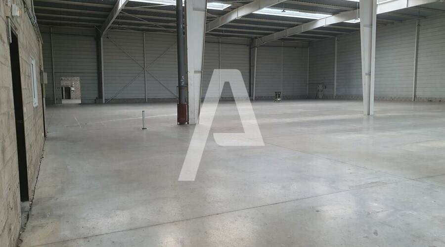 REXIM - Entrepôt - Lisses - 1