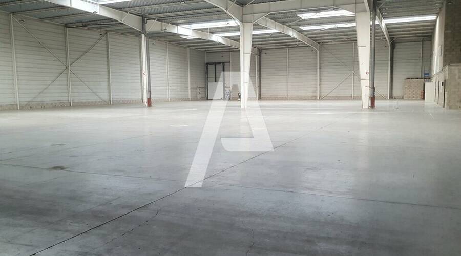 REXIM - Entrepôt - Lisses - 2