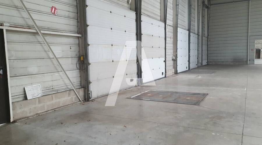 REXIM - Entrepôt - Lisses - 3