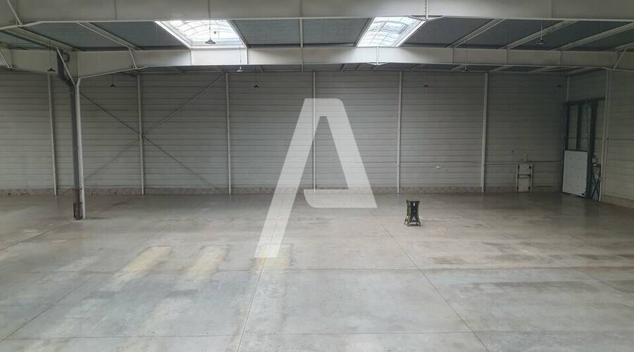 REXIM - Entrepôt - Lisses - 4