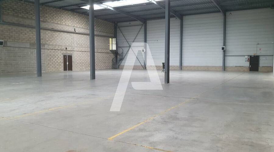 REXIM - Entrepôt - Lisses - 5