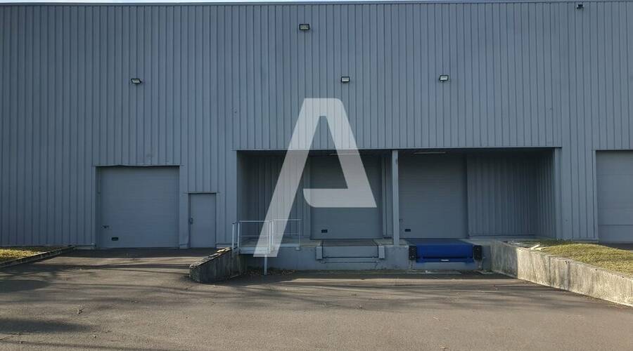 REXIM - Entrepôt - Lisses - 7