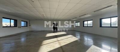 REXIM - Local d'activités - Ain - Saint-André-de-Corcy - 3