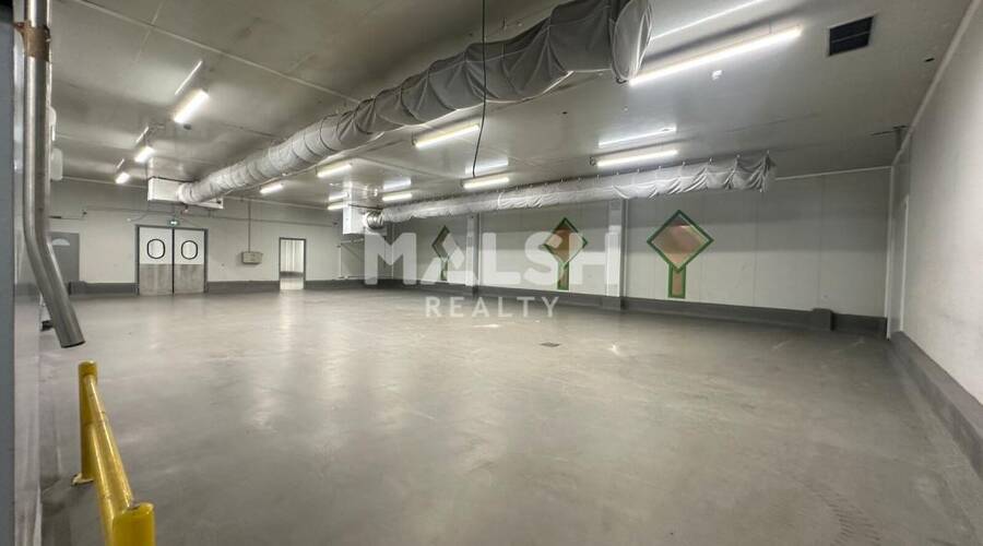 REXIM - Local d'activités - Ain - Saint-André-de-Corcy - 5