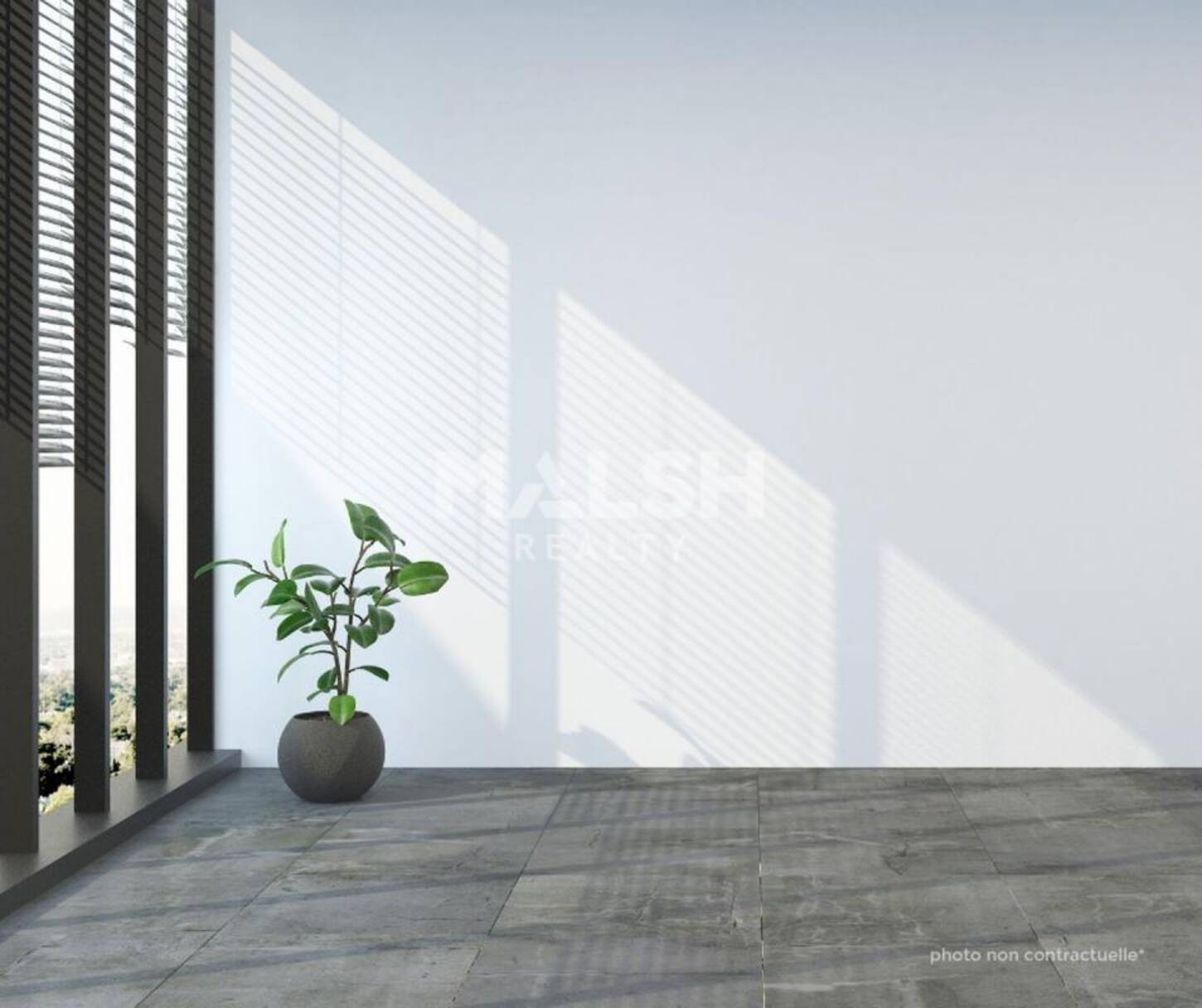 REXIM - Local commercial - Rhône - Lyon - 2