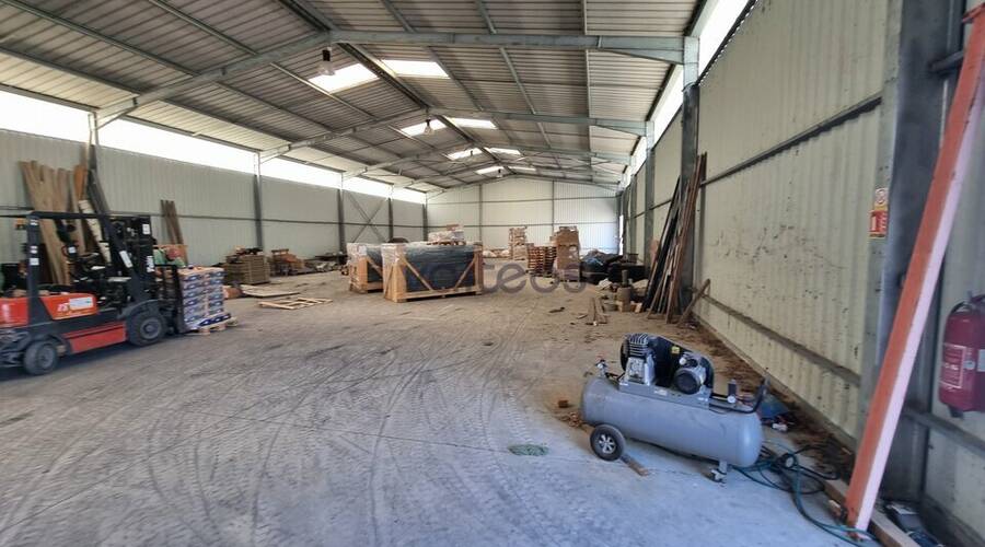 REXIM - Local d'activités - Haute-Garonne - Merville - 3