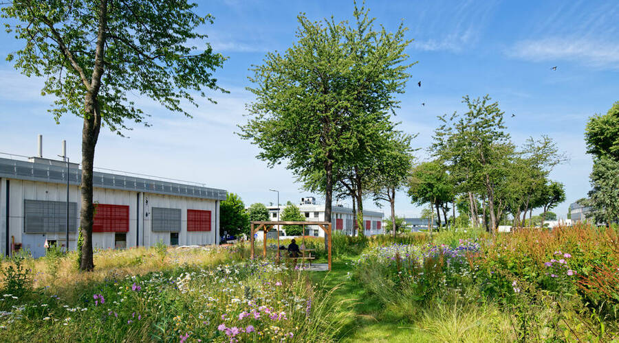 REXIM - Local d'activités - Villebon-sur-Yvette - 6