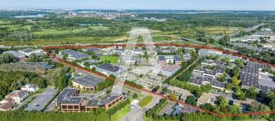 REXIM - Entrepôt - Saint-Thibault-des-Vignes - 2