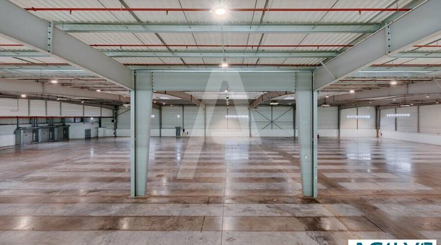 REXIM - Entrepôt - Wissous - 2