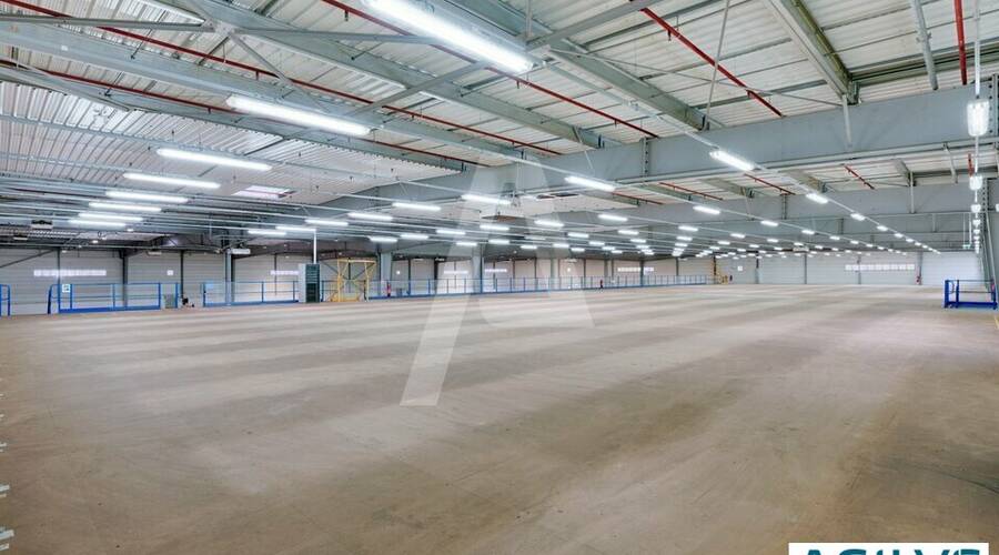 REXIM - Entrepôt - Wissous - 4