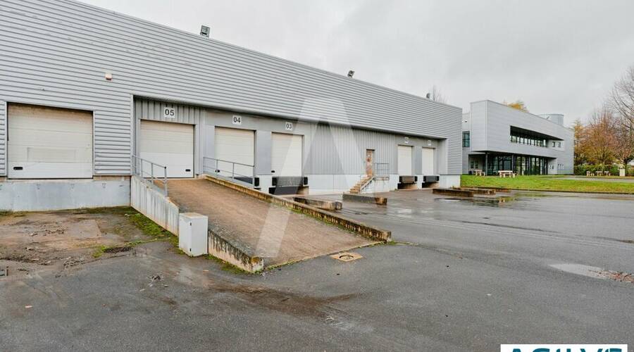 REXIM - Entrepôt - Wissous - 5