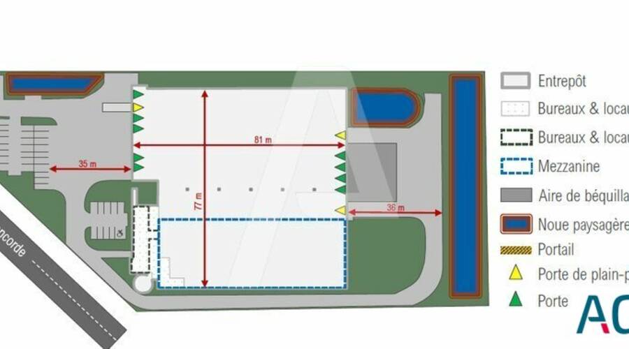 REXIM - Entrepôt - Wissous - 9