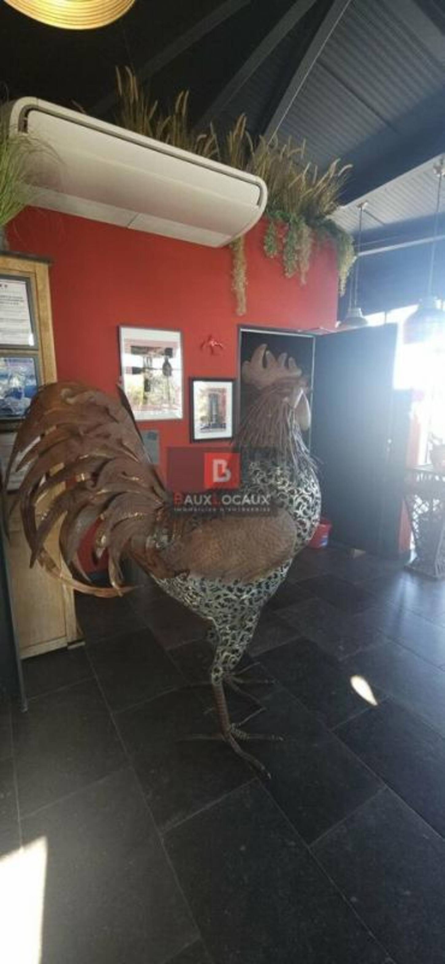 REXIM - Local commercial - Vaucluse - Carpentras - 2