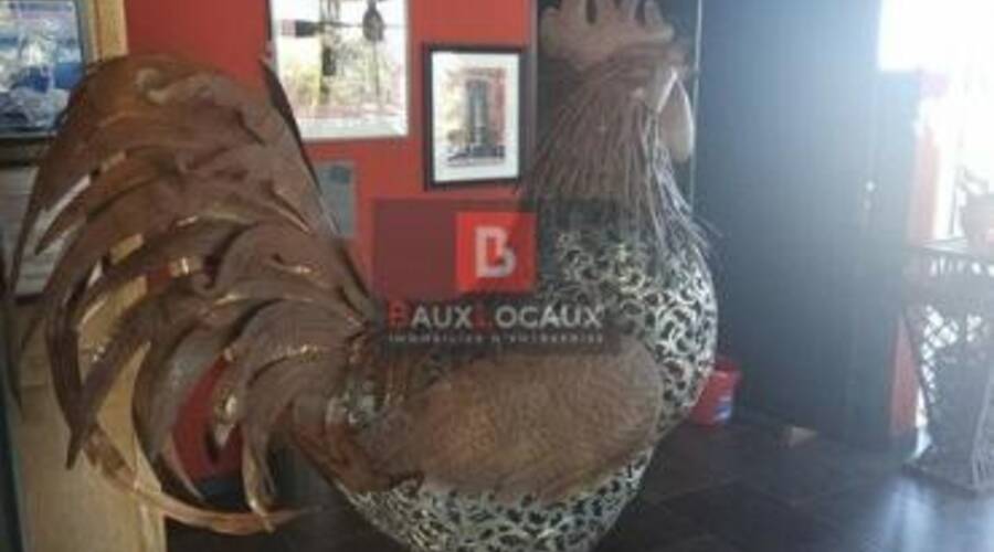 REXIM - Local commercial - Vaucluse - Carpentras - 2