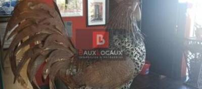 REXIM - Local commercial - Vaucluse - Carpentras - 2