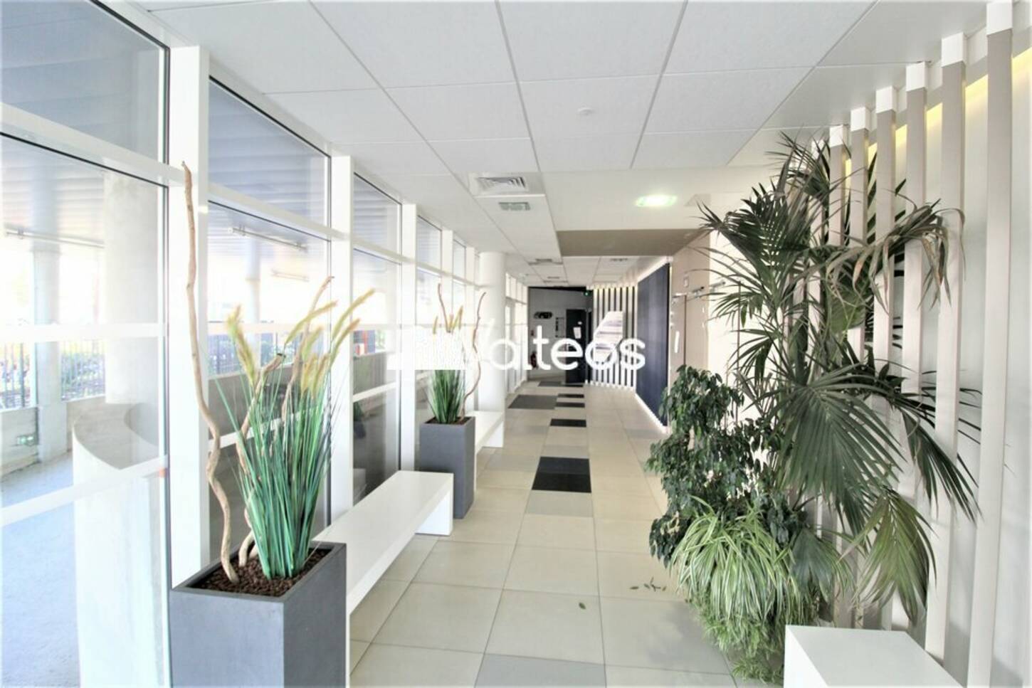 REXIM - Bureau - Haute-Garonne - Balma - 2