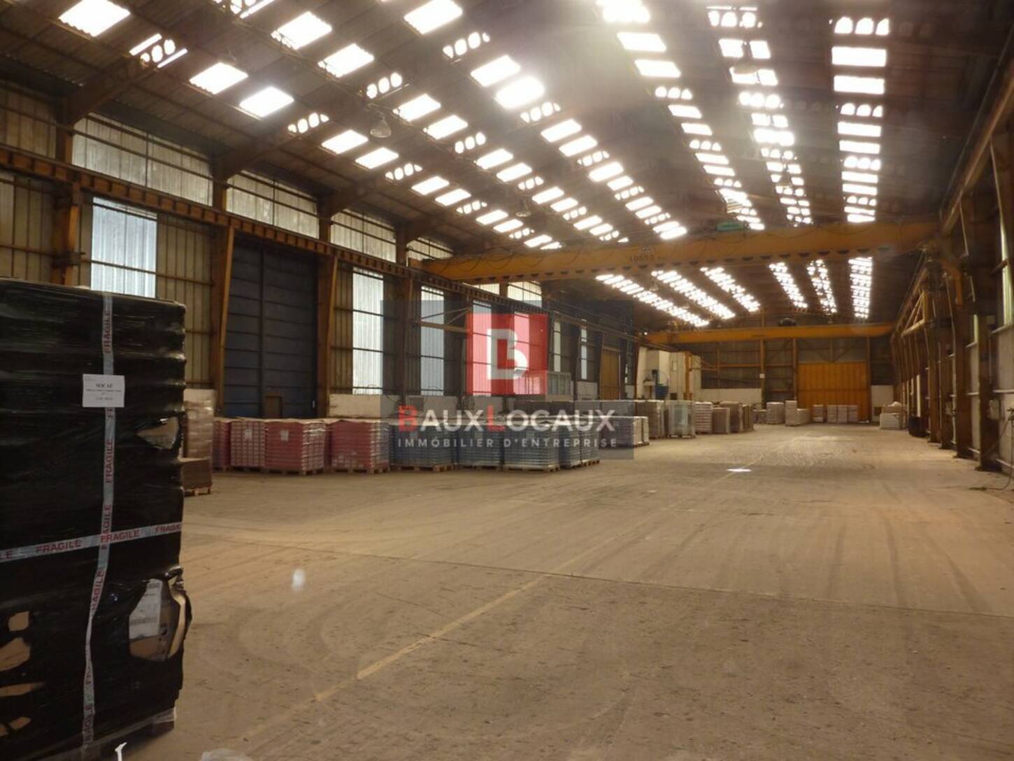 REXIM - Local d'activités - Bouches-du-Rhône - Arles - 2