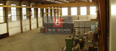 REXIM - Local d'activités - Bouches-du-Rhône - Arles - 3