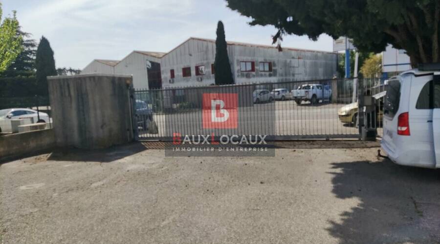 REXIM - Local d'activités - Bouches-du-Rhône - Arles - 4