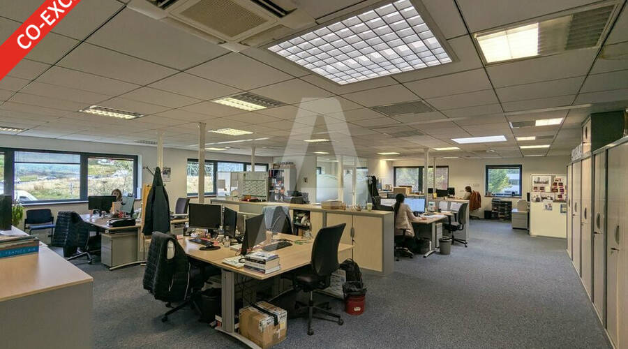 REXIM - Entrepôt - Palaiseau - 7