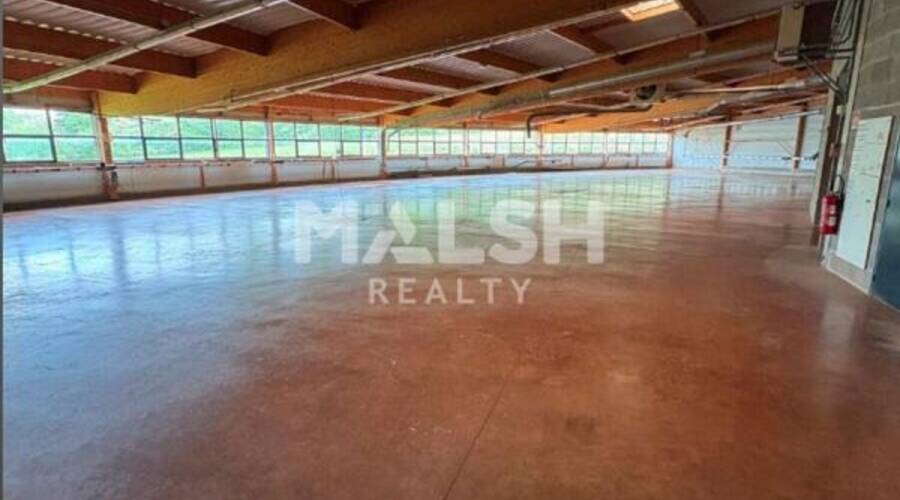 REXIM - Local d'activités - Ain - Ceyzériat - 2