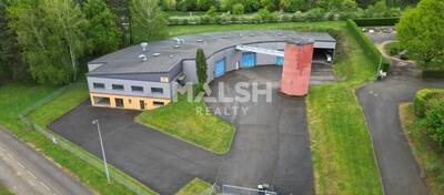 REXIM - Local d'activités - Ain - Ceyzériat - 4