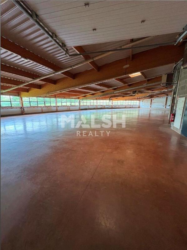 REXIM - Local d'activités - Ain - Ceyzériat - 2