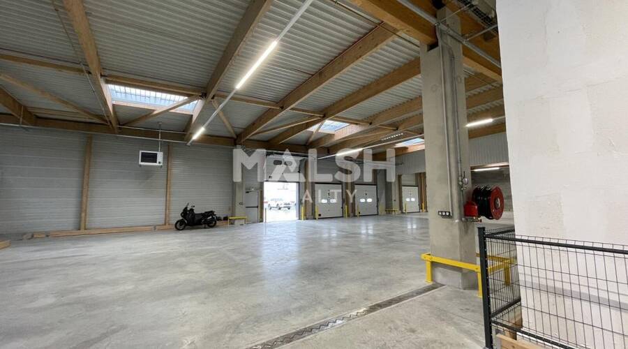 REXIM - Local d'activités - Rhône - Lyon - 5