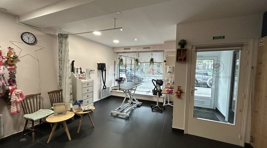 REXIM - Local commercial - Nord - Villeneuve-d'Ascq - 4