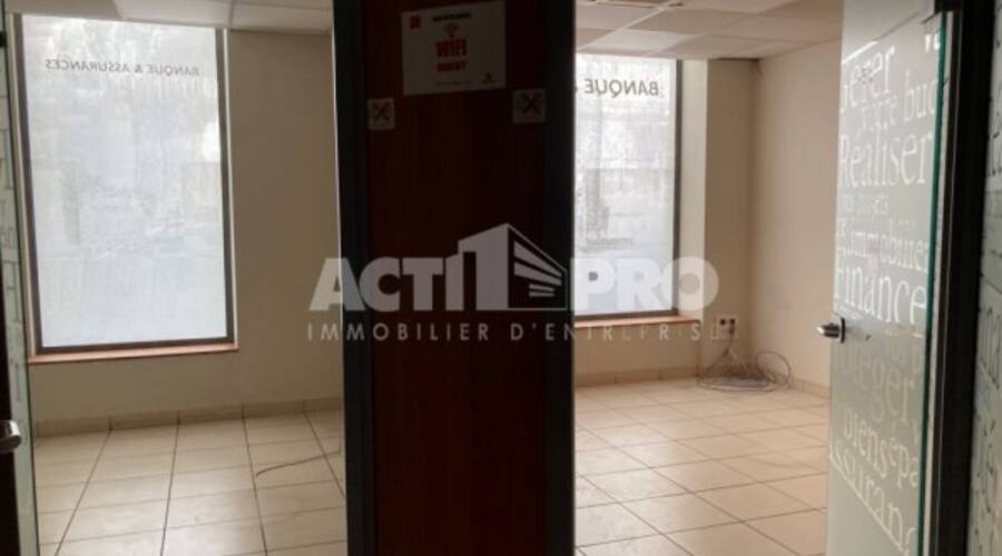 REXIM - Local d'activités - Pyrénées-Orientales - Perpignan - 3