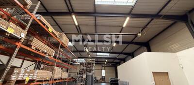 REXIM - Local d'activités - Rhône - Meyzieu - 7