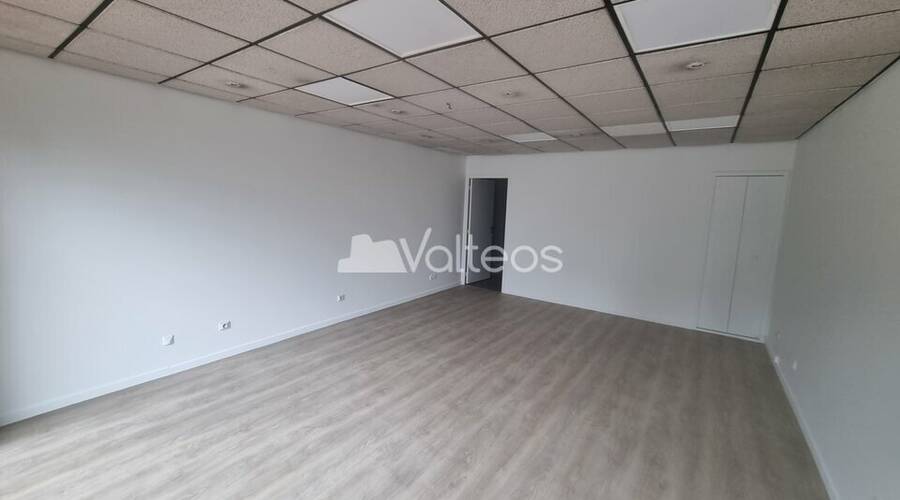 REXIM - Local commercial - Haute-Garonne - Saint-Alban - 4