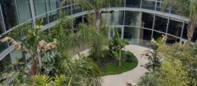 REXIM - Local d'activités - Pyrénées-Orientales - Perpignan - 2