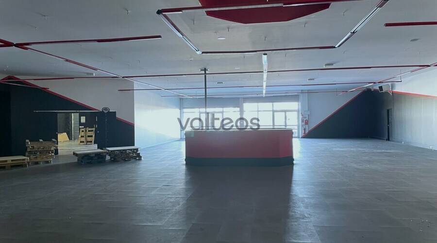 REXIM - Local commercial - Haute-Garonne - Toulouse - 3