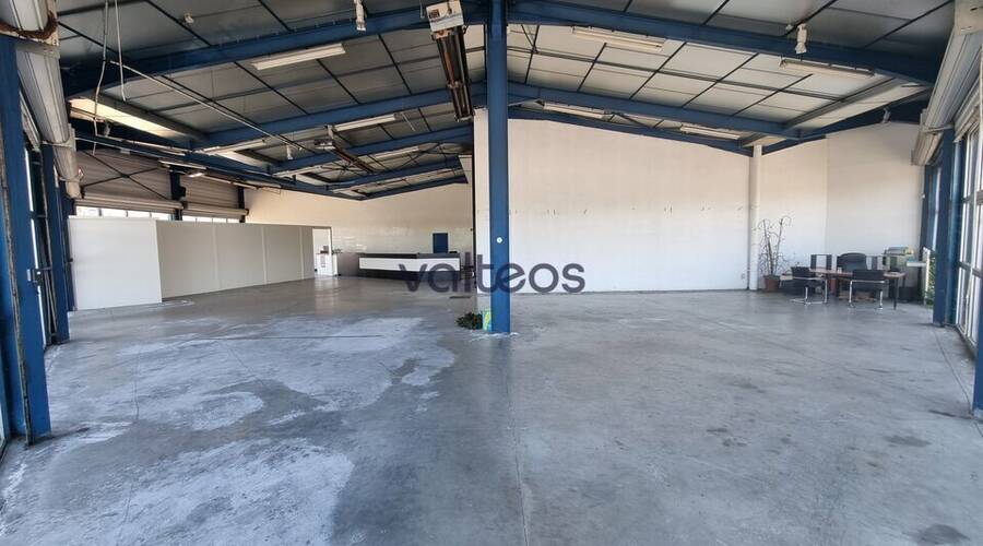 REXIM - Local commercial - Haute-Garonne - Toulouse - 6