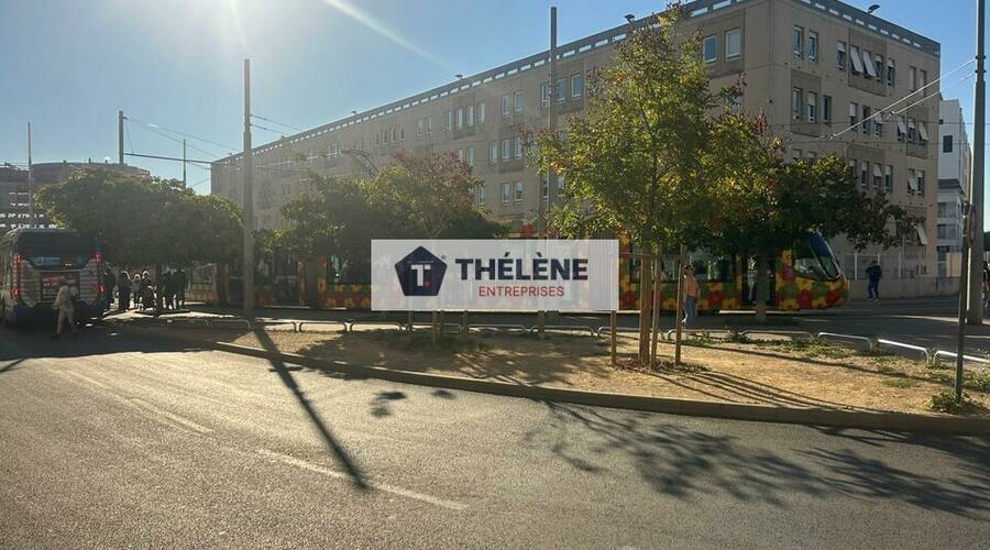 REXIM - Local commercial - Hérault - Montpellier - 2