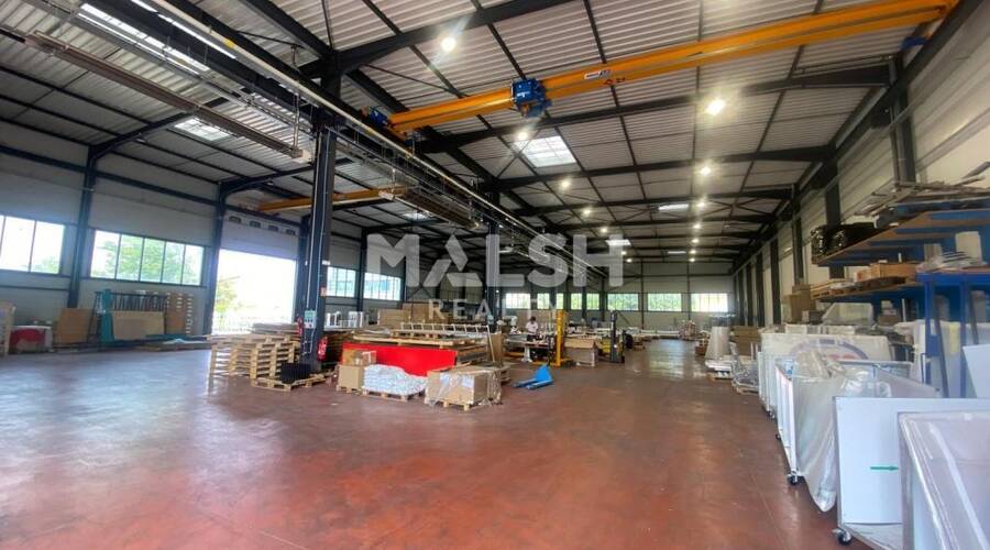 REXIM - Local d'activités - Rhône - Villeurbanne - 2