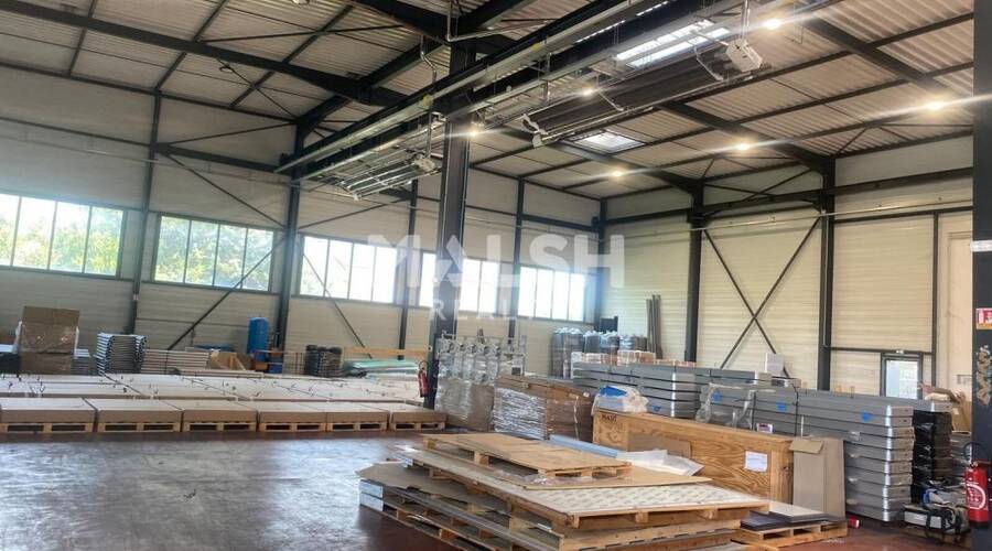 REXIM - Local d'activités - Rhône - Villeurbanne - 3