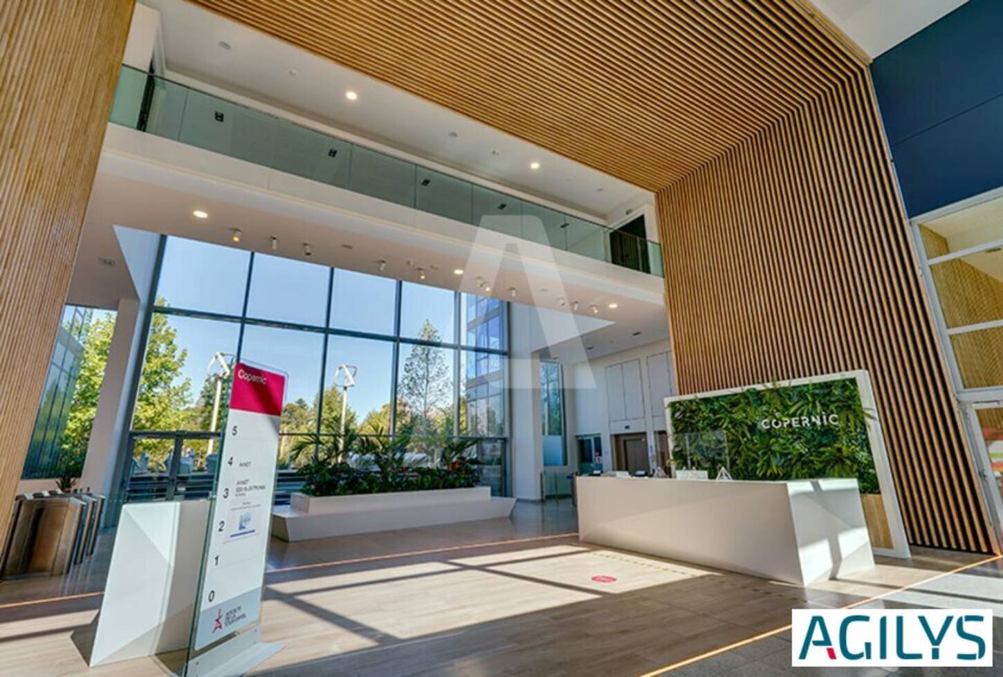 REXIM - Bureau - Massy - 2