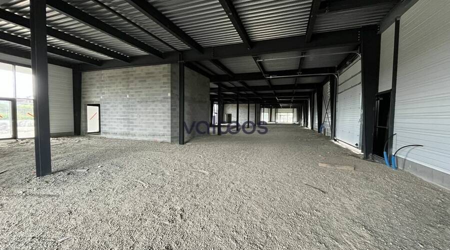 REXIM - Local d'activités - Haute-Garonne - Pinsaguel - 3