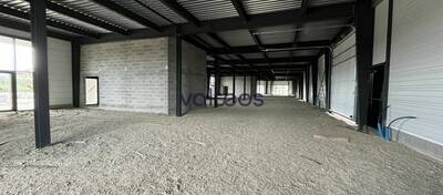 REXIM - Local d'activités - Haute-Garonne - Pinsaguel - 3