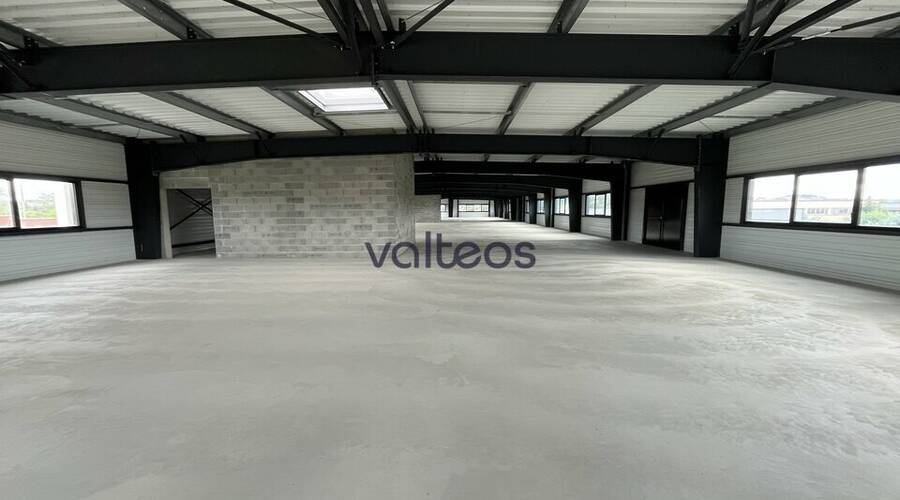 REXIM - Local d'activités - Haute-Garonne - Pinsaguel - 4