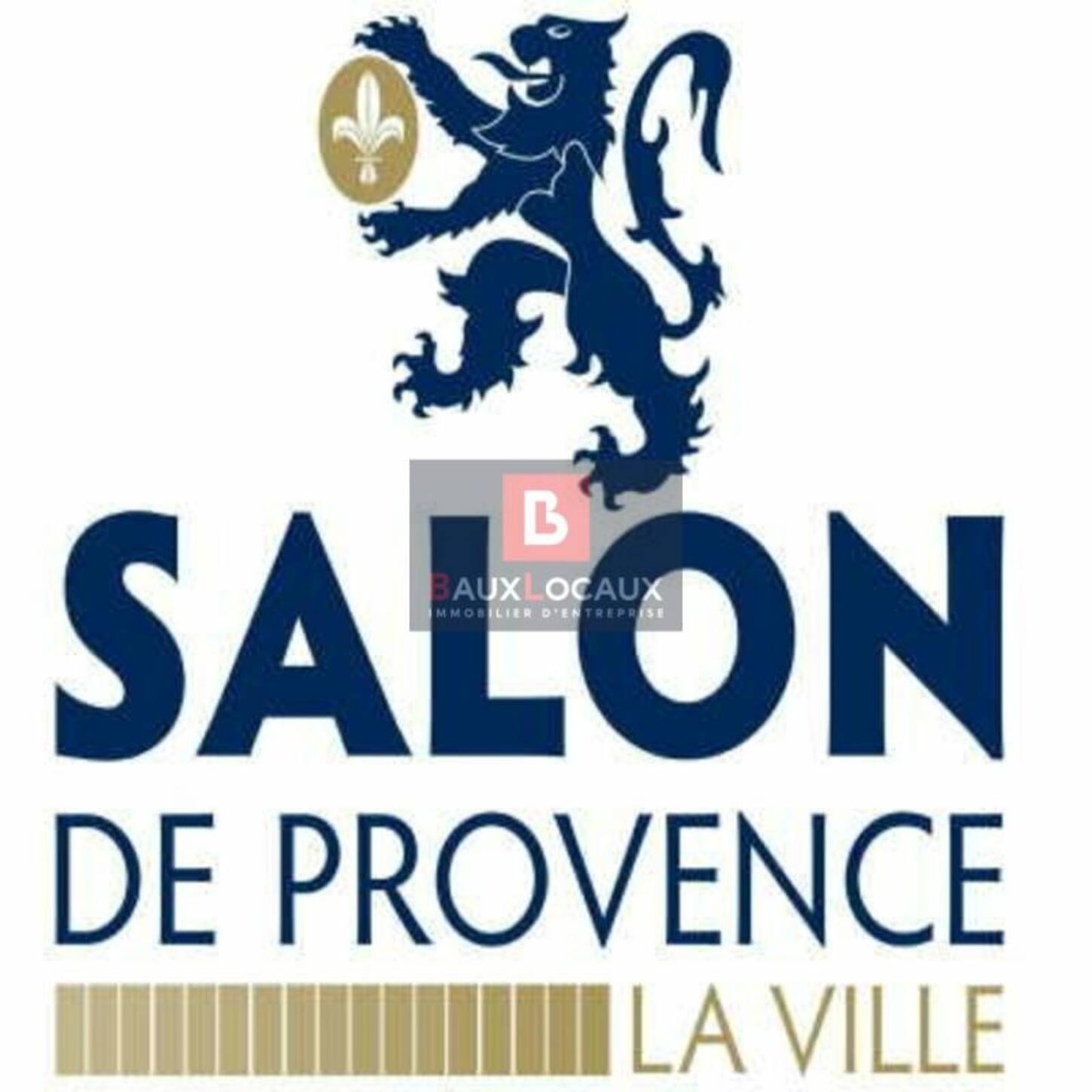 REXIM - Bureau - Bouches-du-Rhône - Salon-de-Provence - 2