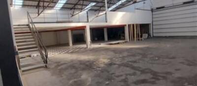 REXIM - Local d'activités - Pyrénées-Orientales - Perpignan - 4