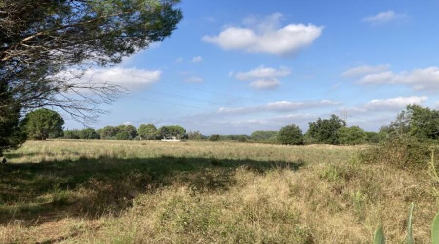 REXIM - Terrain - Pyrénées-Orientales - Palau-del-Vidre - 1