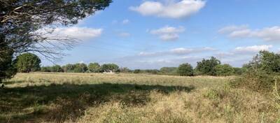 REXIM - Terrain - Pyrénées-Orientales - Palau-del-Vidre - 1