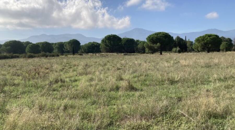 REXIM - Terrain - Pyrénées-Orientales - Palau-del-Vidre - 2