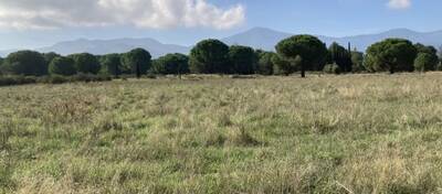 REXIM - Terrain - Pyrénées-Orientales - Palau-del-Vidre - 2