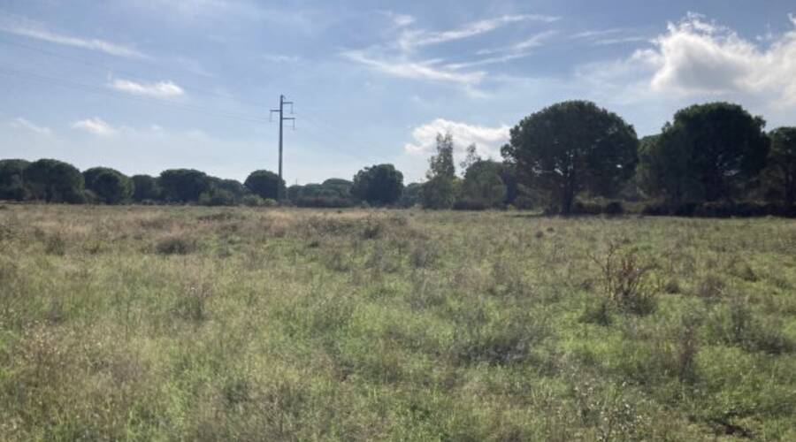 REXIM - Terrain - Pyrénées-Orientales - Palau-del-Vidre - 3