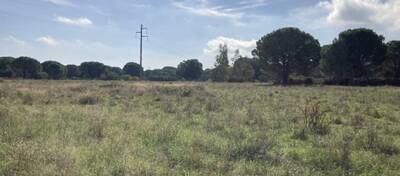 REXIM - Terrain - Pyrénées-Orientales - Palau-del-Vidre - 3